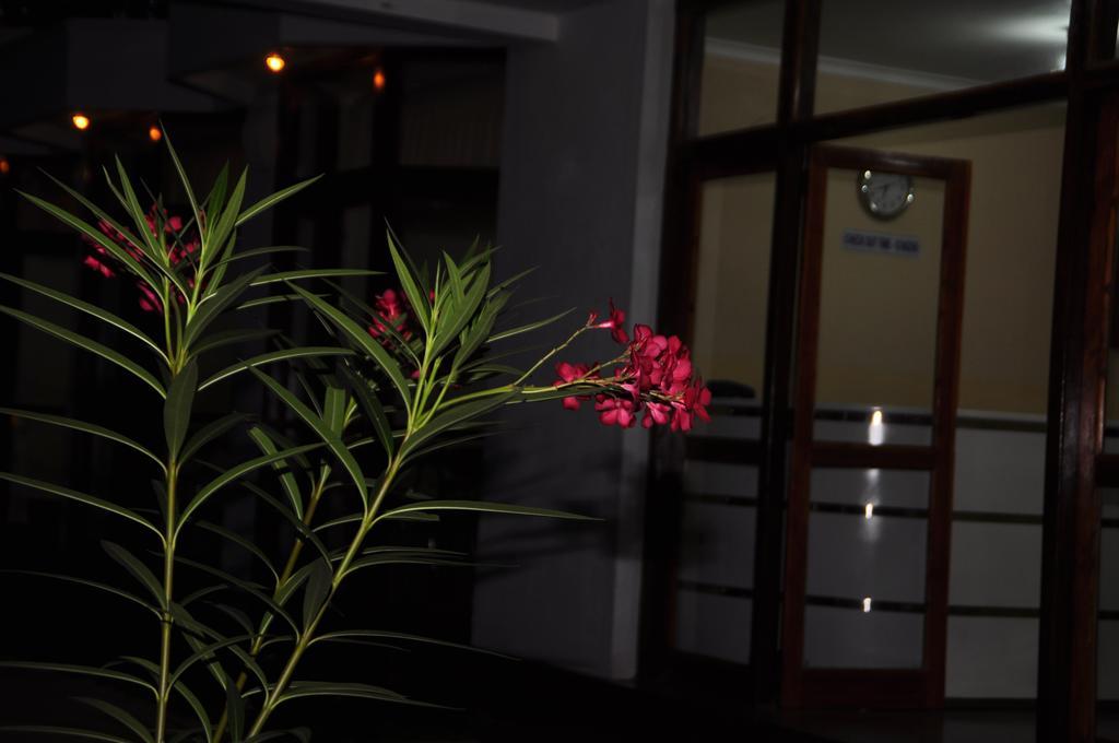 Hotel Melbourne Tourist Rest Anuradhapura Exterior foto